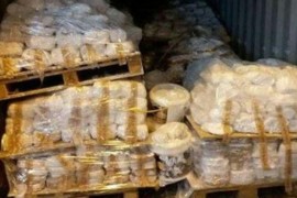 عبر سوريا.. إيران تصدر كميات كبيرة من الحشيش إلى دول المتوسط