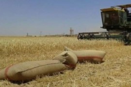 استياء شعبي من احتكار ميليشيات ب ي د المحاصيل الزراعية
