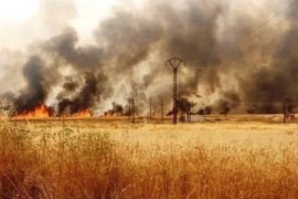 استجابة لنداءات الاستغاثة.. “الخوذ البيضاء” جاهزة لمساعدة فلاحي الحسكة
