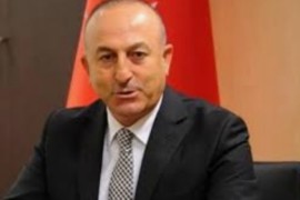 اوغلو : توجد أسماء في لجنة صياغة الدستور السوري تركيا لا يمكن أن تقبل بها