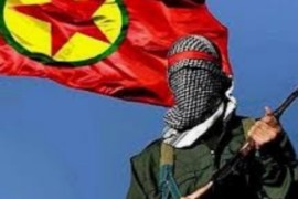 وكالة ايطالية : معظم قادة ” قسد ” من كورد تركيا العلويين .