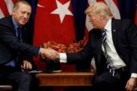 وضع إدلب موضوع نقاش اتصال هاتفي بين الرئيس التركي رجب طيب أردوغان نظيره الأمريكي دونالد ترامب