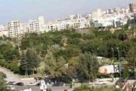 ضابط في ميليشا الأسد يقتل شقيقته… فما السبب؟