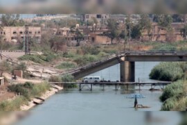 تحرّكات العشائر العربية شرقي سورية لتشكيل هيئة سياسية تمثيلية