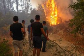 شخصين من ميليشيات pyd يحرقون  الغابات في تركيا.