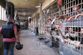 مصادر توثق استشهاد  24شخصاً ومنهم أربعة قضوا تحت التعذيب  في درعا خلال شهر كانون الأول .