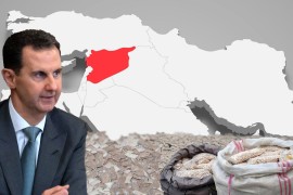 أسد الكبتاغون
